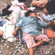 16 mars 1988: Bombardement de Halabja