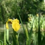 02 Février : Journée Mondiale des Zones Humides